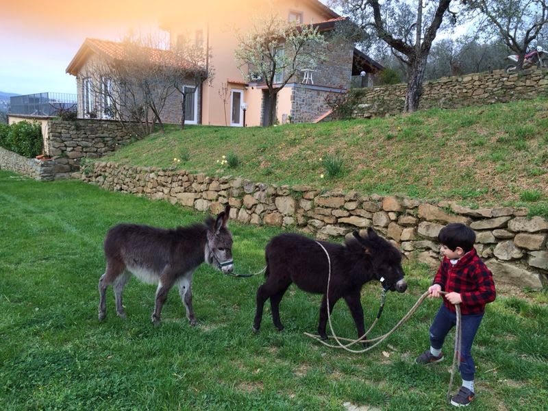 Casa vacanze Toscana animali ammess